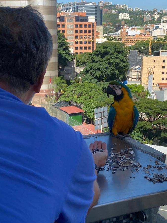 Ololo Caracas B&B Экстерьер фото